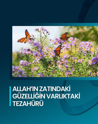 Güzelliğin Varlıktaki Tezahürü
