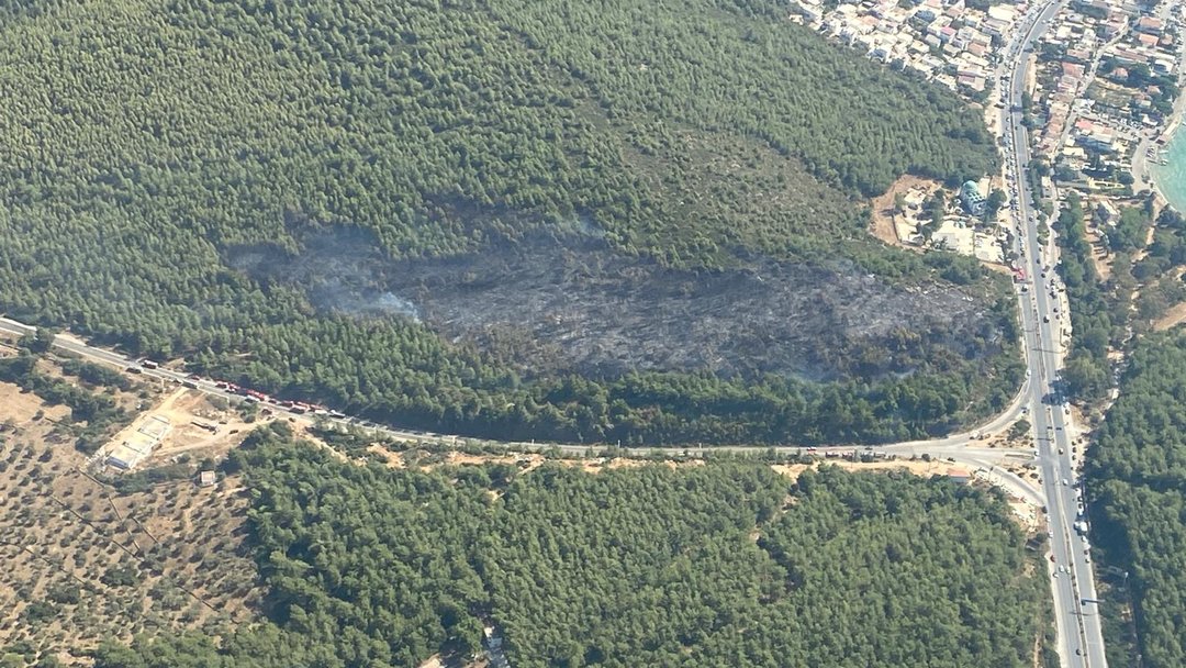 BODRUM’DA ORMAN YANGINI