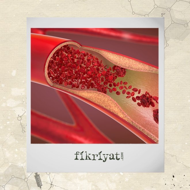 EN ÖNEMLİ BAŞARISI