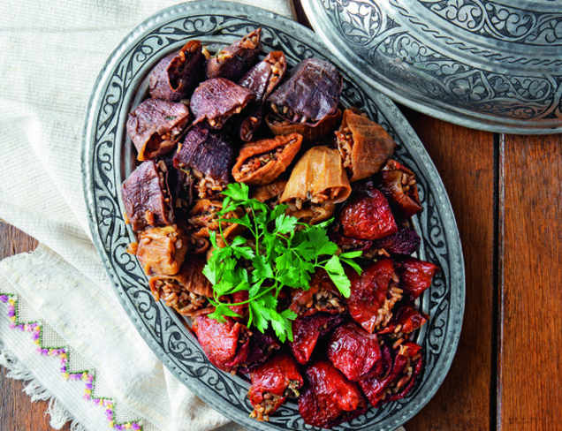 Karışık Kuruluk Dolma