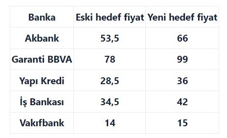 bofa-4-turk-bankasi-icin-hedefi-yukseltti-1708345635186.jpg
