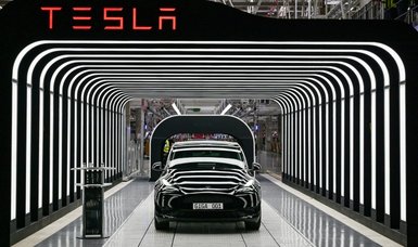 German road traffic agency says 59,000 Tesla vehicles have software glitch