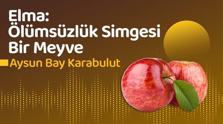 Elma: Ölümsüzlük Simgesi Bir Meyve | Aysun Bay Karabulut