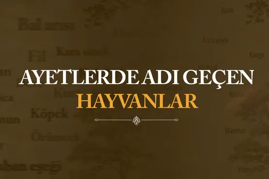 Ayetlerde Adı Geçen Hayvanlar