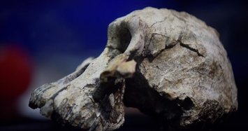 How did we become human? Skull of 3.8-million-year-old early human in Ethiopia to offer new clues