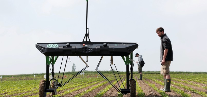 ROBOTS FIGHT WEEDS IN CHALLENGE TO AGROCHEMICAL GIANTS