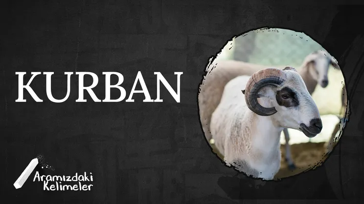 Kurban | Aramızdaki Kelimeler