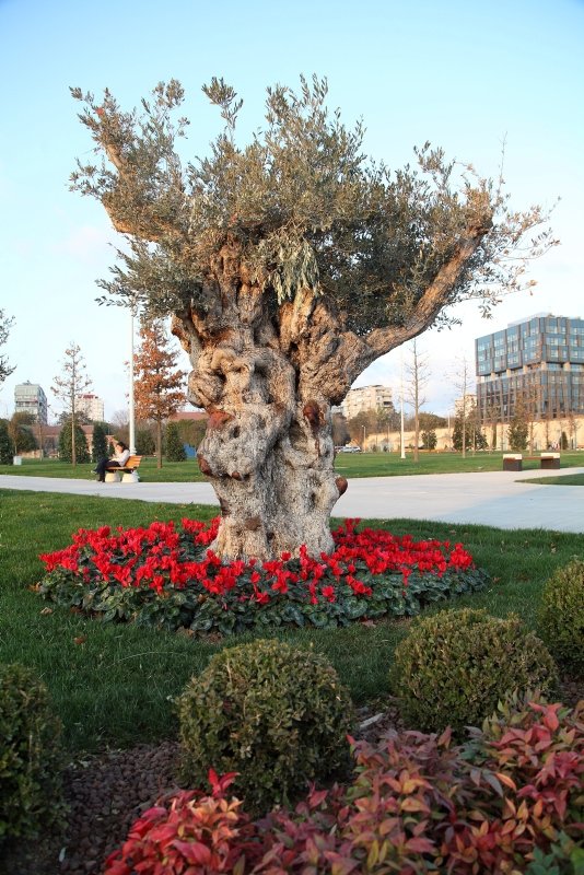 Baruthane Millet Bahçesi