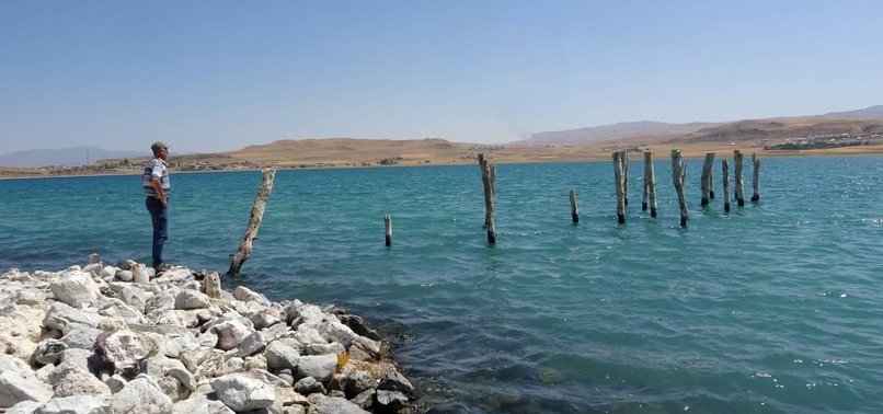 Historical wooden pier resurfaces as Lake Vans water levels drop