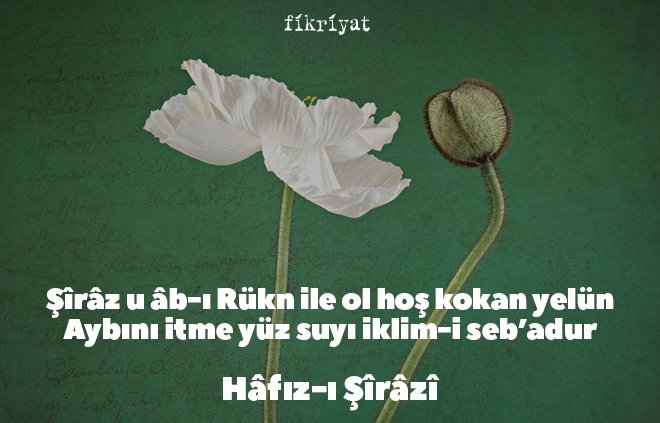 Hafız Divanından Alıntılar