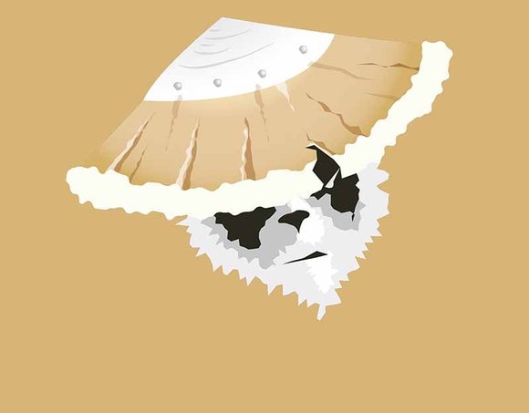 kung fu panda ustası oogway öldü