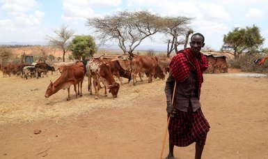 Climate change increased drought in Horn of Africa: Study