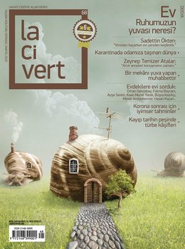 Lacivert SAYI 68