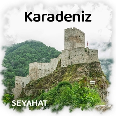 Yeşilin sanata dönüştüğü kent: Artvin