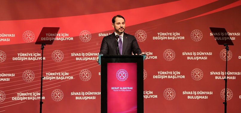 TURKISH ECONOMY EXCEEDED EXPECTATIONS IN 2019, FINANCE MINISTER SAYS