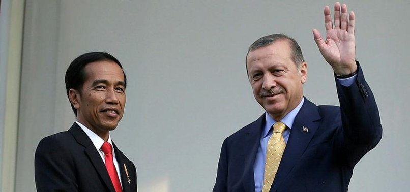 INDONESIA EXPRESSES SUPPORT FOR TURKEY, ERDOĞAN
