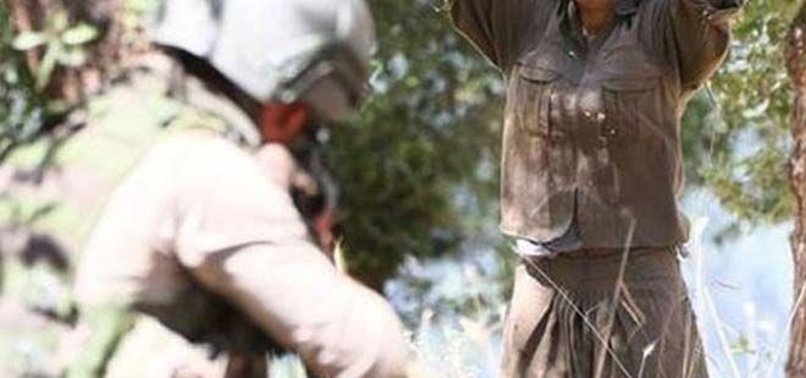 PKK TERRORIST SURRENDERS TO TURKISH SECURITY FORCES