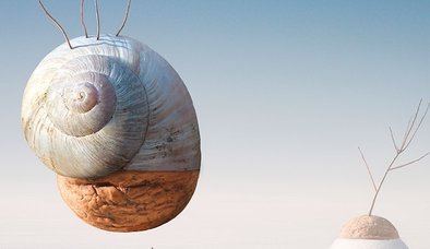 DİN VE AKLIN SÜT KARDEŞLİĞİ