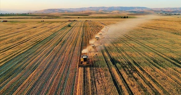 Tarım ÜFE nisan ayında arttı