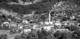 Şaşkın Kerteriz - Nisan 2018