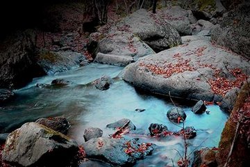 Yalova’da sonbahar güzelliği