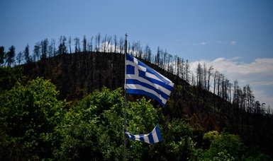 Greece's fire-ravaged Evia will take decades to heal