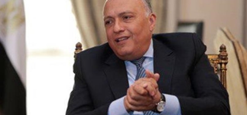 HAMAS-LINKED LEGAL CASES TO ENJOY DUE PROCESS: EGYPT FM