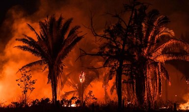 Number of Brazil Amazon fires hits five-year high in August