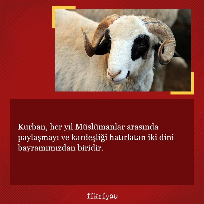 Kurban vekaleti nasıl verilir?