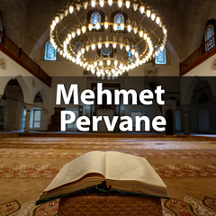Mehmet Pervane