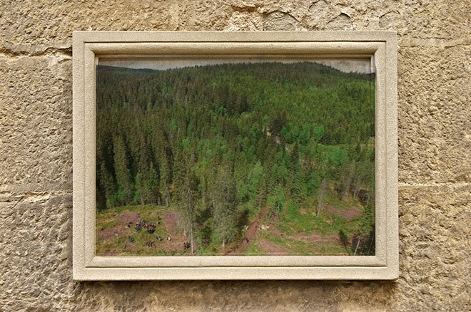 KİTAPLAR 100 YIL SONRA OKUNABİLECEK!