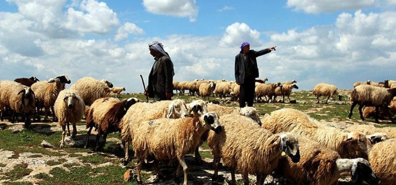 TURKEY, SUDAN TO FOUND AGRICULTURE, LIVESTOCK COMPANY
