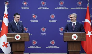 Georgia 'proud' of friendship, strategic partnership with Türkiye: Foreign minister