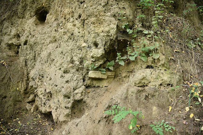 Mohaç Meydan Savaşı Tarihi