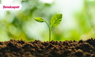 Yemeksepeti, karbon ayak izini dengeledi