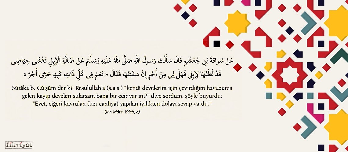 Hz. Peygamber’in merhamet ile ilgili 40 hadisi