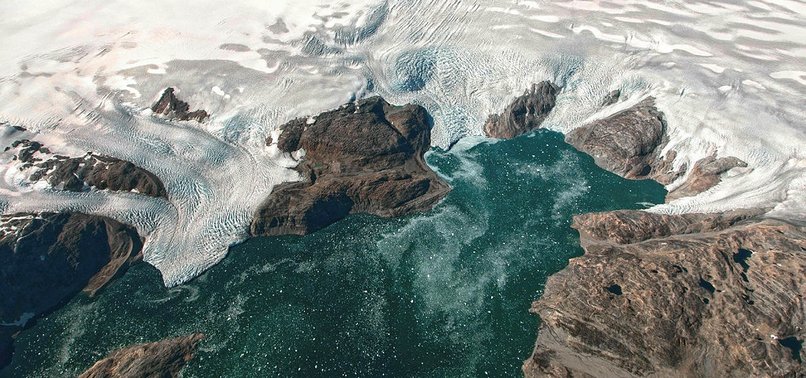 TRUMP WANTS US TO BUY GREENLAND: REPORT