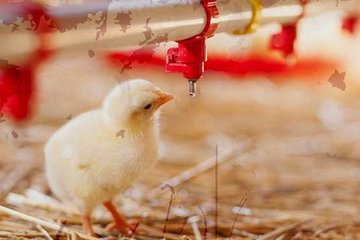 Su hakkında 40 ilginç bilgi 📌