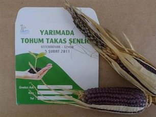Tohum Takas Şenliği