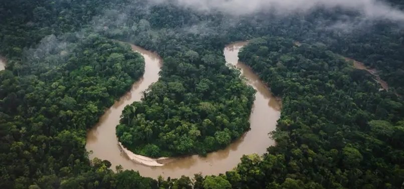 INCREASING OCCURRENCE OF DROUGHT TESTS AMAZON RAINFORESTS RESILIENCE