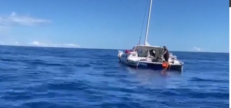 Incredible story of survival: Australian man named Tim Shaddock spends ...