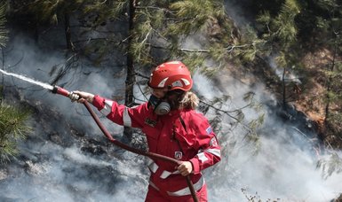 Wildfires still raging in north-eastern Greece in Dadia forest area