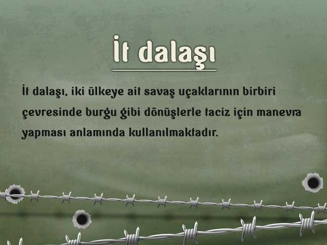 İt dalaşı