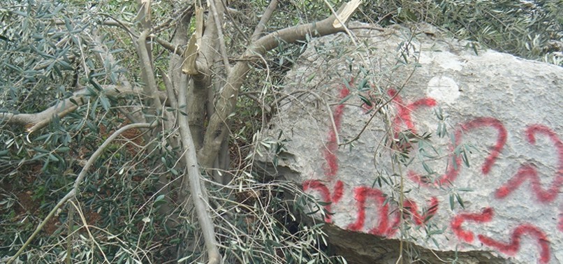 ISRAELI SETTLERS DESTROY OVER 2,000 PALESTINIAN TREES AND VINES IN 2 MONTHS: REPORT