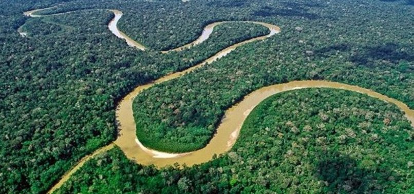 5 Hutan yang Paling Berbahaya di Dunia