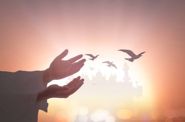 Mütevatir tevatür nedir?