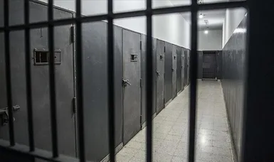 Palestinian dies in Israeli custody
