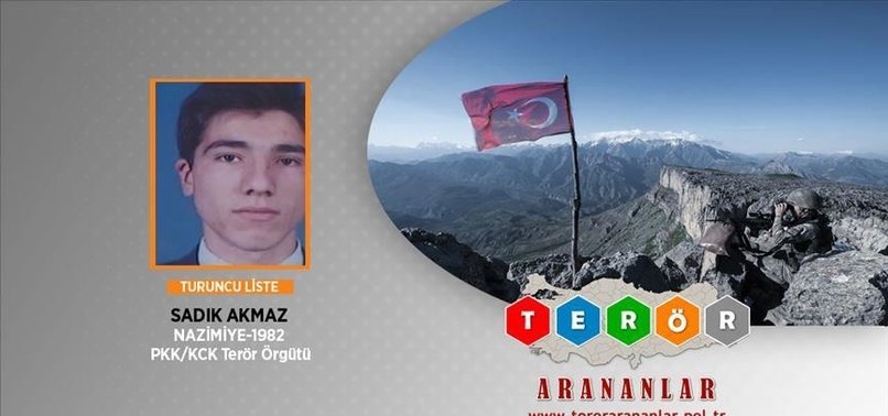 TURKISH SECURITY FORCES NEUTRALIZE WANTED PKK TERRORIST