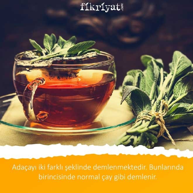 Adaçayı nasıl demlenir?