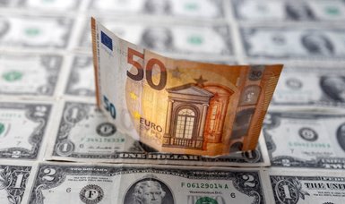 Euro falls to lowest level against U.S. dollar in over 5 years